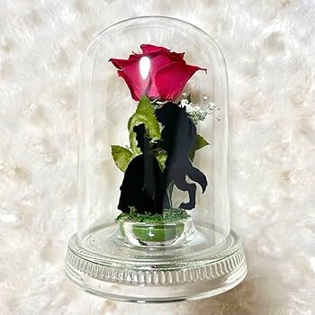 美女と野獣　プリザーブドフラワー　非売品　薔薇 Amazon.co.jp: 日比谷花壇 薔薇 プリザーブドフラワー 美女と